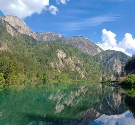 www.yaxin557.com